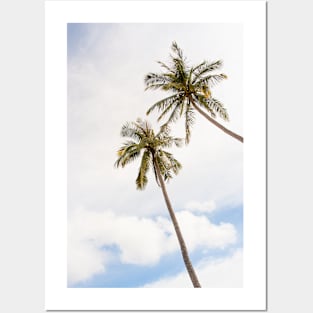 Palm trees, clouds and blue sky Posters and Art